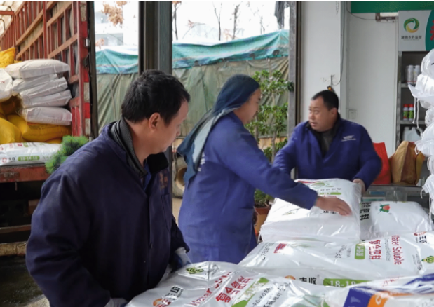 视频|道县：春耕备耕正当时 供销社农资储备足