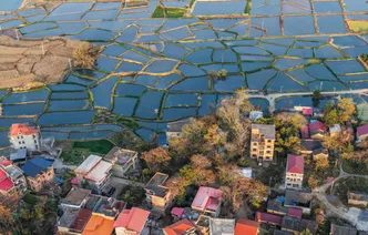 湖南道县：产业兴 民增收（组图）