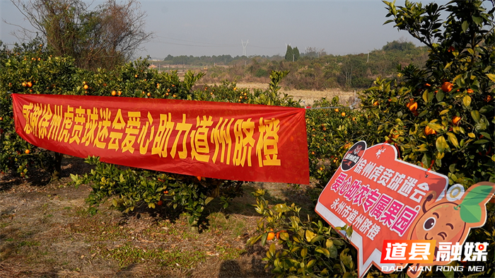 道县：从“认购”到“包园” 江苏球迷爱心助农精准落地_副本2.jpg