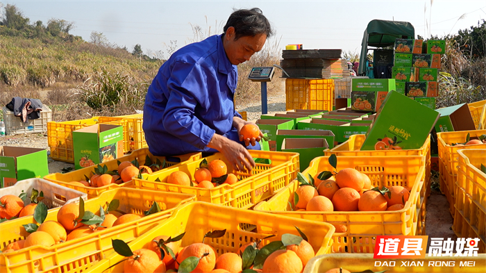 道县：从“认购”到“包园” 江苏球迷爱心助农精准落地_2_副本1.jpg