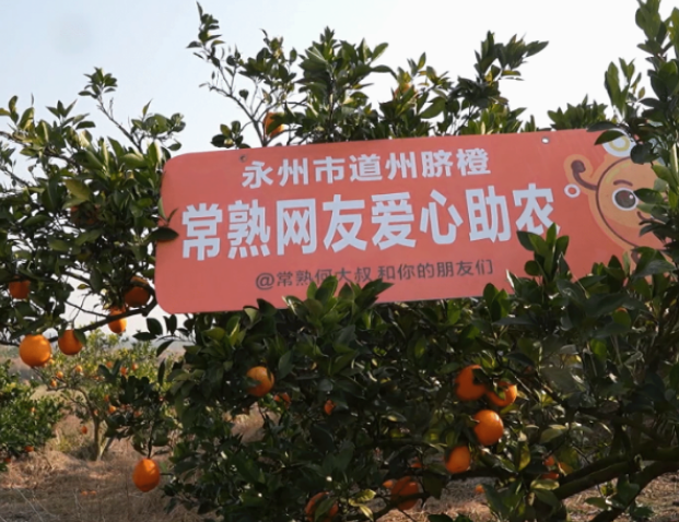 视频|道县：从“认购”到“包园” 江苏球迷爱心助农精准落地