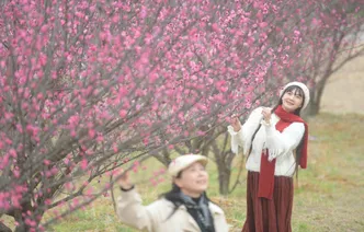湖南道县：大寒时节梅飘香