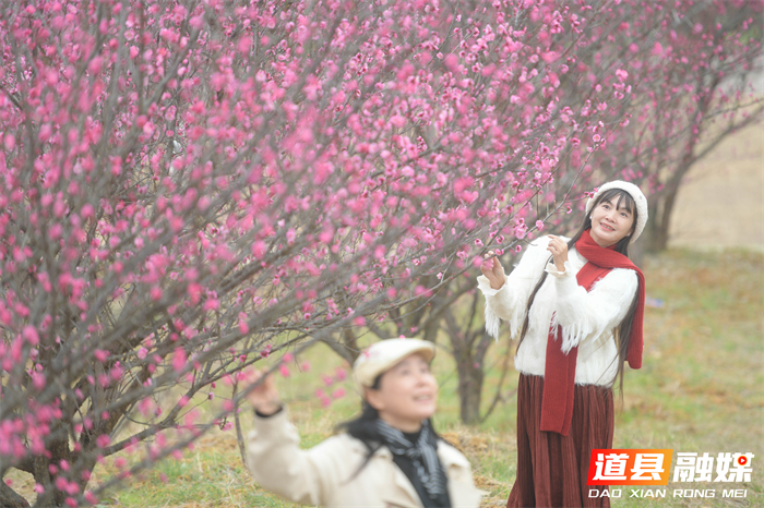 2026年1月19日，在湖南省永州市道县梅花镇梅花中学校园内，游客在观赏梅花。 (2)_20260120114103(1)_副本1.jpg