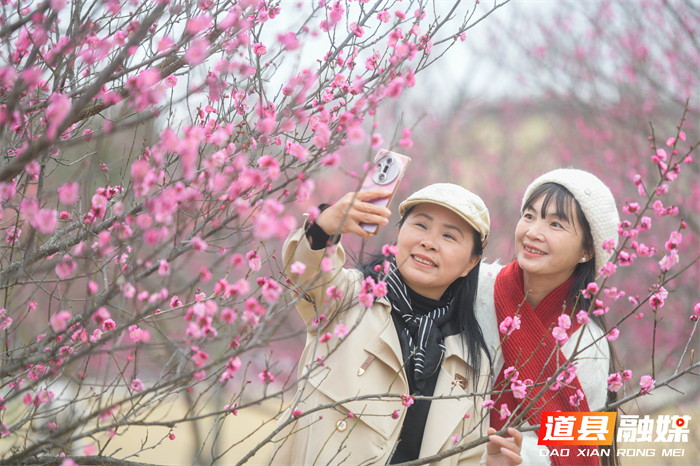 2026年1月19日，在湖南省永州市道县梅花镇梅花中学校园内，游客在赏梅拍照。 (4)_20260120114138(1)_副本.jpg