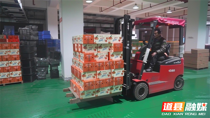 微信图片_20260128114820_4911_121_副本.jpg 微信图片_20260128114820_4911_121_副本.jpg