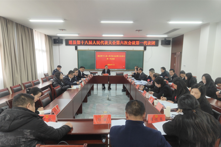 两会声音|县人大代表继续分团讨论：凝心聚力谋发展 实干担当谱新篇