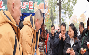 视频|道州脐橙亮相永州年货节 供销新机制助力乡村振兴