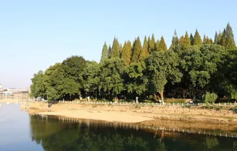 道县：秋染西洲 层林绘就城市诗意画卷