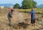 道县四马桥镇：给秸秆找“出路” 让蓝天更持久