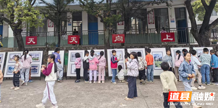 图片4_副本.png 图片4_副本.png