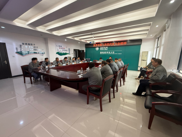 国网道县供电公司：传达贯彻市第七次党代会精神 为中国式现代化永州贡献电网力量