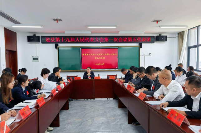 王小丽参加县十九届人大一次会议第五代表团讨论