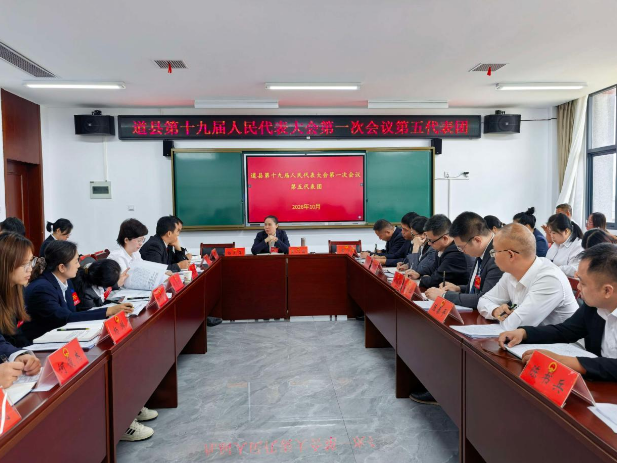 王小丽参加县十九届人大一次会议第五代表团讨论