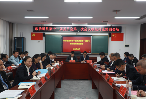 王小丽参加政协道县十一届一次会议工商联侨联、经济科技界别联组并组讨论