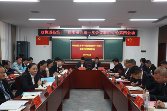 王小丽参加政协道县十一届一次会议工商联侨联、经济科技界别联组并组讨论