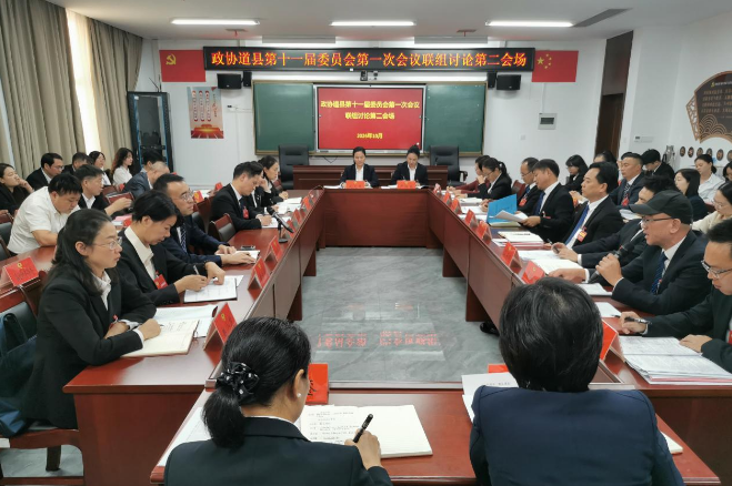 政协道县十一届一次会议举行教育医卫、文艺新闻界别联组并组讨论
