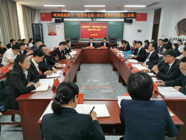 政协道县十一届一次会议举行教育医卫、文艺新闻界别联组并组讨论