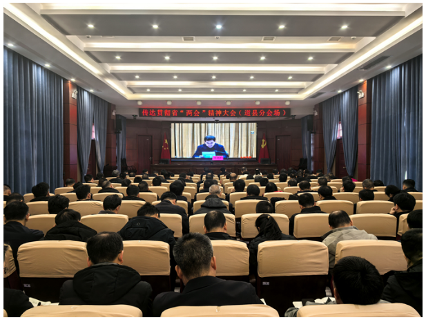 永州市传达贯彻省两会精神大会召开道县设分会场
