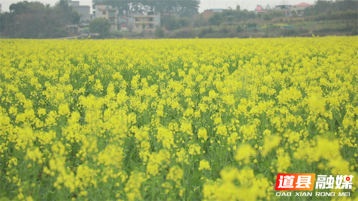 微信图片_20260214151422_5505_121_副本1.jpg 微信图片_20260214151422_5505_121_副本1.jpg