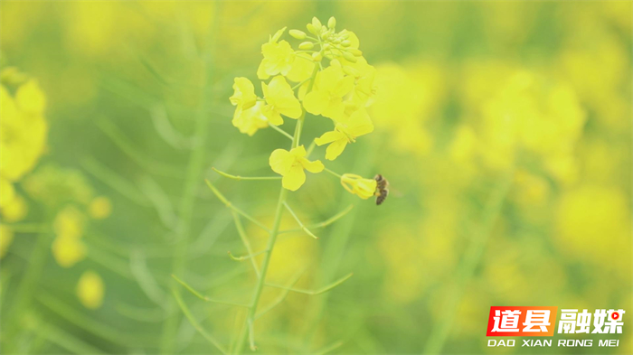 微信图片_20260214151422_5506_121_副本1.jpg 微信图片_20260214151422_5506_121_副本1.jpg