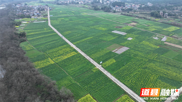 微信图片_20260214151352_5497_121_副本1.jpg 微信图片_20260214151352_5497_121_副本1.jpg