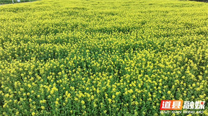 微信图片_20260214151401_5500_121_副本1.jpg 微信图片_20260214151401_5500_121_副本1.jpg