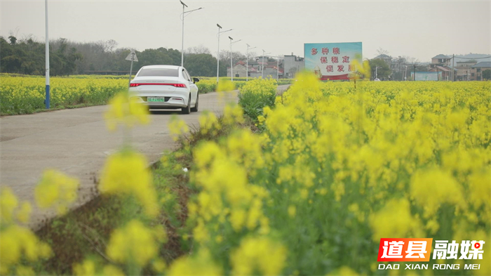 微信图片_20260214151420_5503_121_副本1.jpg 微信图片_20260214151420_5503_121_副本1.jpg