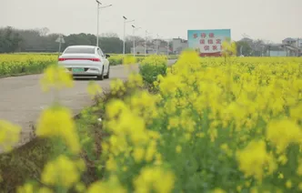 道县：油菜花开绘就春日画卷