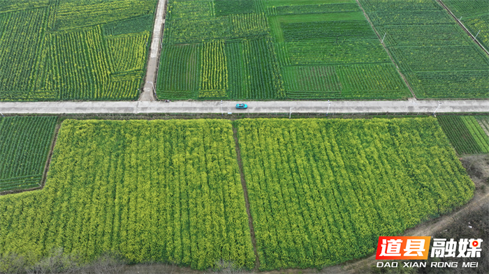 微信图片_20260214151358_5499_121_副本1.jpg 微信图片_20260214151358_5499_121_副本1.jpg