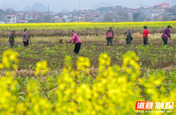 微信图片_20260226144941_5614_121_副本1.jpg 微信图片_20260226144941_5614_121_副本1.jpg