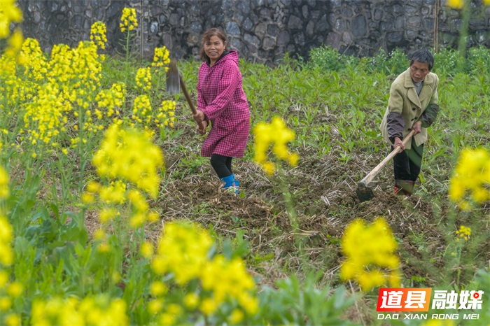 微信图片_20260226144909_5613_121_副本1.jpg 微信图片_20260226144909_5613_121_副本1.jpg