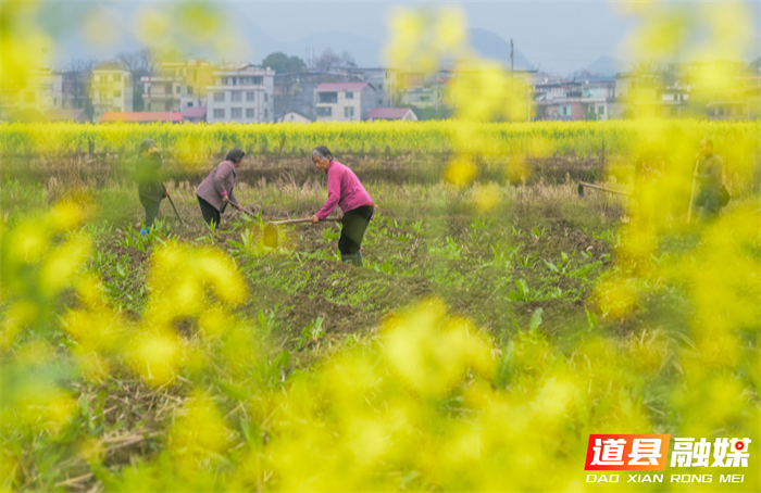 微信图片_20260226144909_5612_121_副本1.jpg 微信图片_20260226144909_5612_121_副本1.jpg