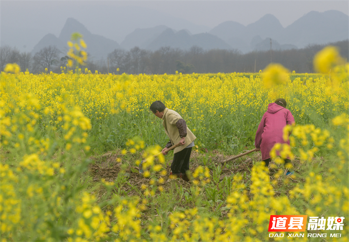 微信图片_20260226145010_5617_121_副本1.jpg 微信图片_20260226145010_5617_121_副本1.jpg