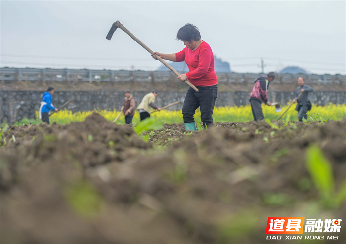 微信图片_20260226144908_5611_121_副本1.jpg 微信图片_20260226144908_5611_121_副本1.jpg