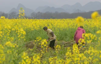 湖南道县：人勤春早农事忙