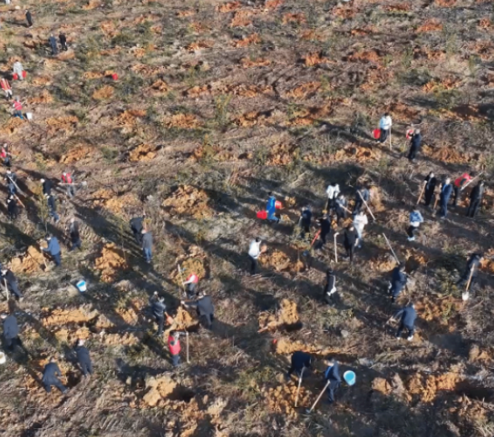 视频|道县开展2026年义务植树活动 为生态文旅融合增绿添彩