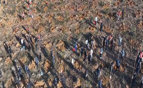 视频|道县开展2026年义务植树活动 为生态文旅融合增绿添彩