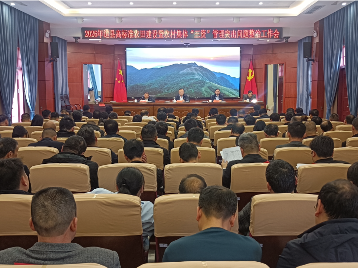 道县召开全县春耕生产暨一季度经济运行现场推进会和高标准农田建设暨农村集体“三资”管理突出问题整治工作会   