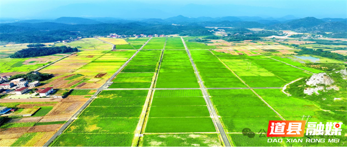 图片7_副本1.png 图片7_副本1.png