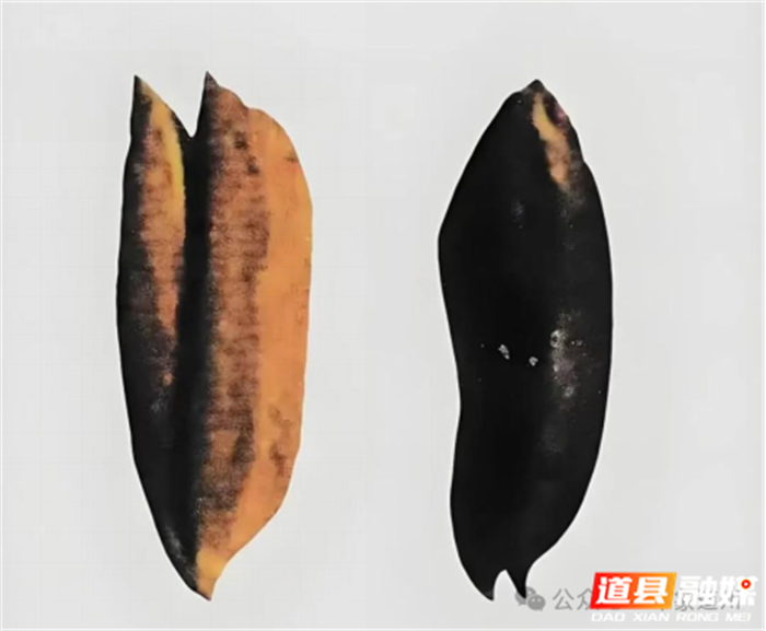 图片5_副本1.png 图片5_副本1.png