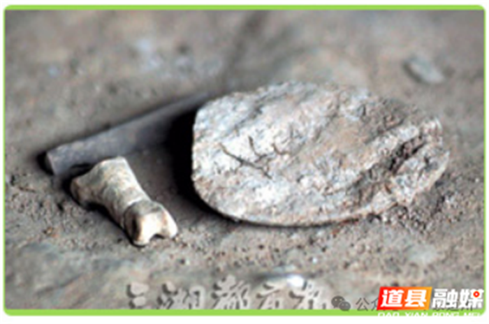 图片6_副本1.png 图片6_副本1.png