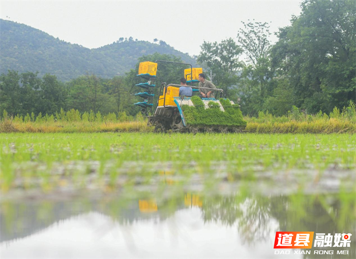 图片17_副本1.png 图片17_副本1.png