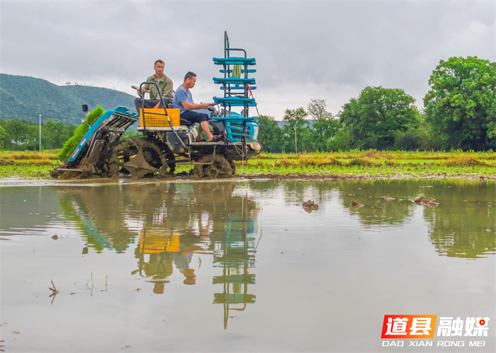 图片19_副本1.png 图片19_副本1.png