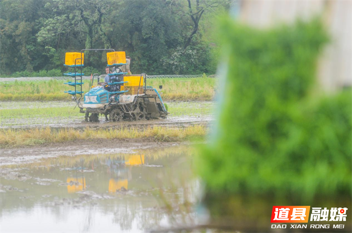 图片18_副本1.png 图片18_副本1.png