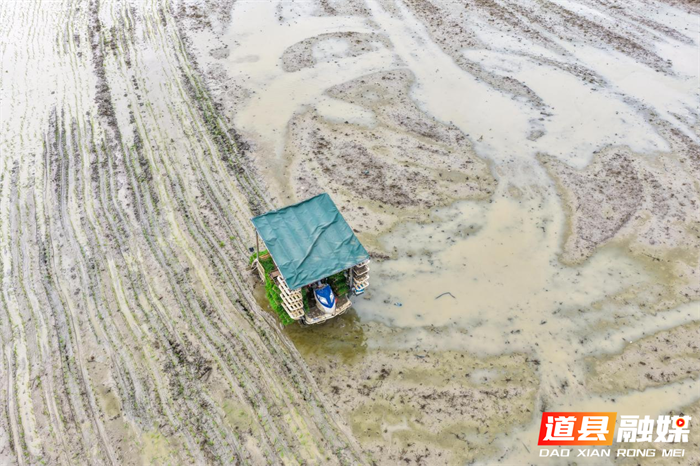 图片21_副本1.png 图片21_副本1.png