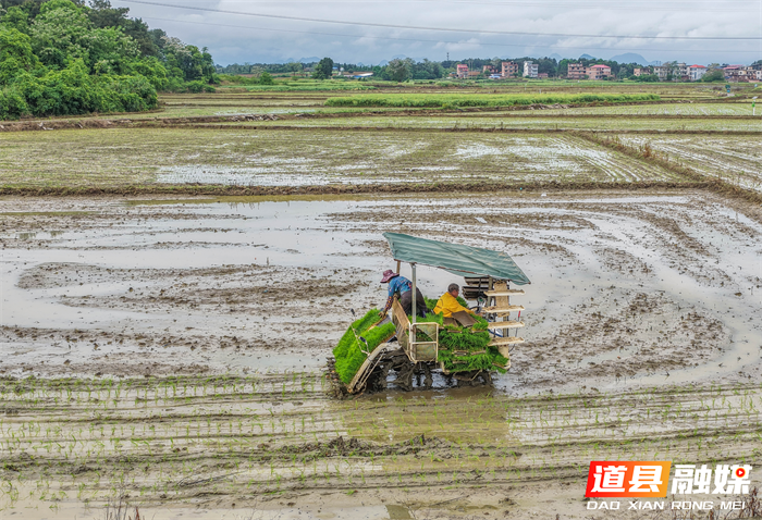 图片14_副本1.png 图片14_副本1.png