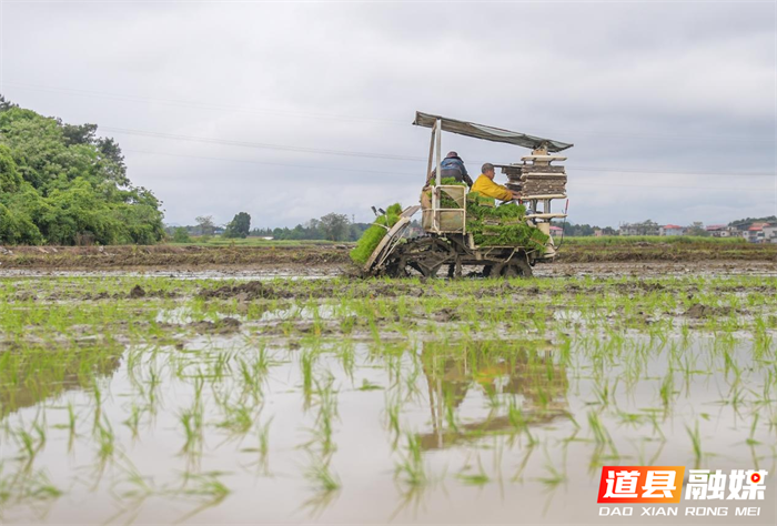 图片15_副本1.png 图片15_副本1.png