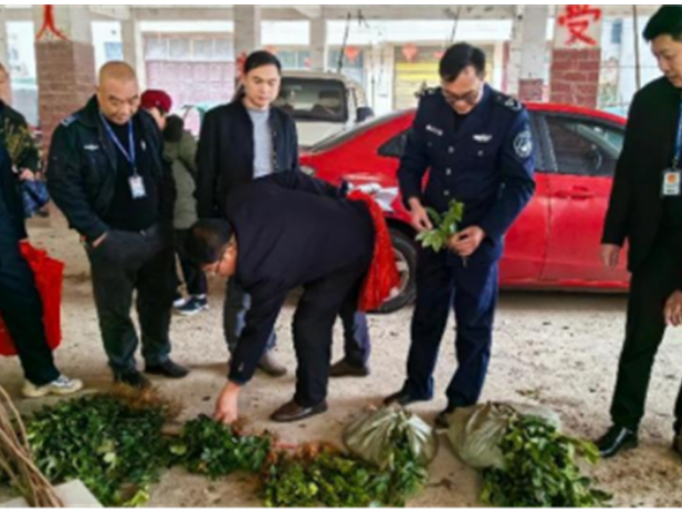 道县：从严把好造林苗木检疫关