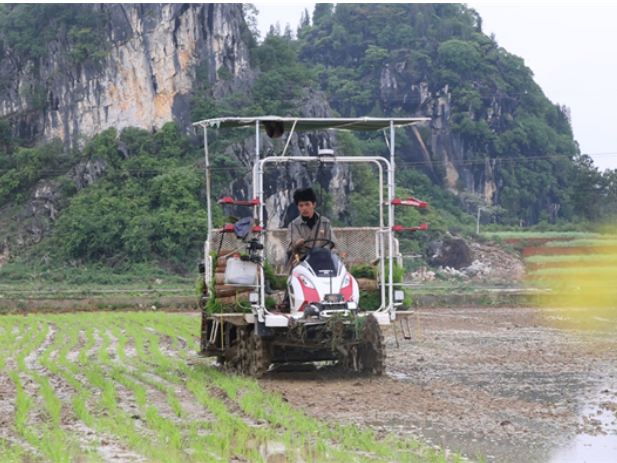 道县：抢抓农时忙春耕 科技赋能提效护生态