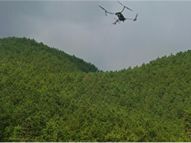 道县积极防范外来有害生物筑牢森林生态安全屏障